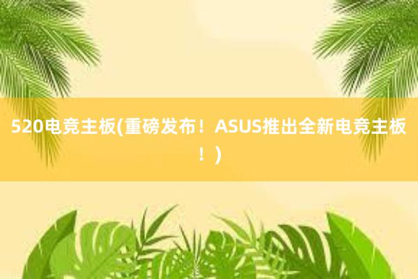 520电竞主板(重磅发布！ASUS推出全新电竞主板！)