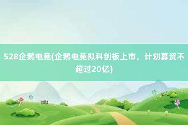 528企鹅电竞(企鹅电竞拟科创板上市，计划募资不超过20亿)