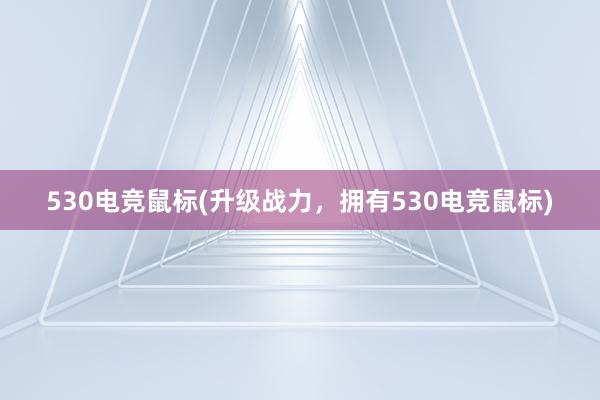 530电竞鼠标(升级战力，拥有530电竞鼠标)