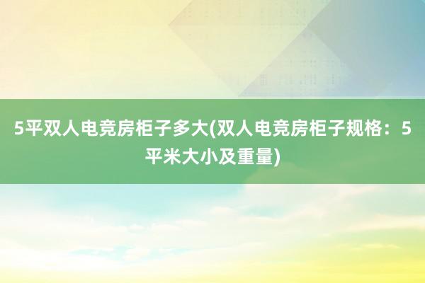 5平双人电竞房柜子多大(双人电竞房柜子规格：5平米大小及重量)