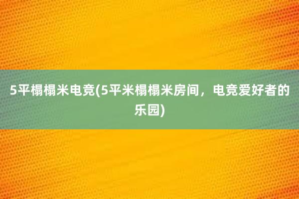 5平榻榻米电竞(5平米榻榻米房间，电竞爱好者的乐园)