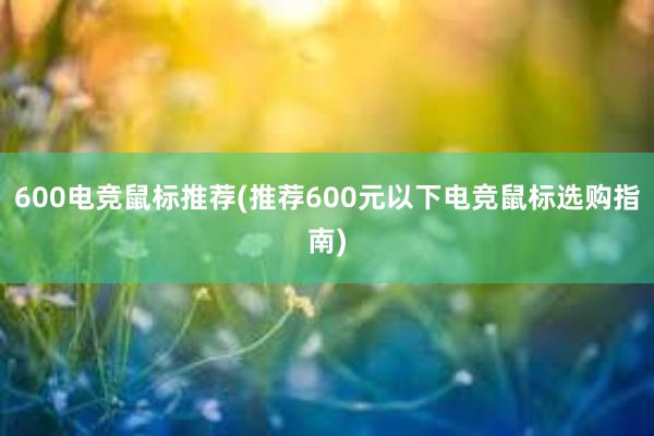 600电竞鼠标推荐(推荐600元以下电竞鼠标选购指南)