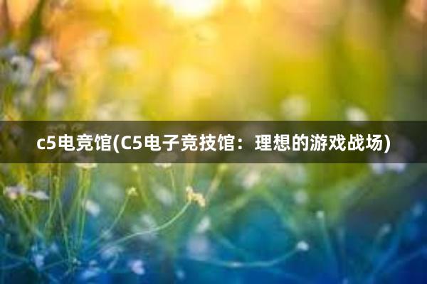 c5电竞馆(C5电子竞技馆：理想的游戏战场)