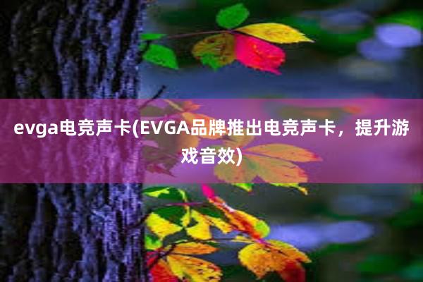 evga电竞声卡(EVGA品牌推出电竞声卡，提升游戏音效)