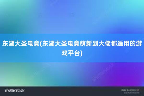 东湖大圣电竞(东湖大圣电竞萌新到大佬都适用的游戏平台)