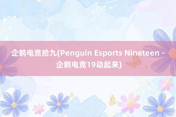 企鹅电竞拾九(Penguin Esports Nineteen - 企鹅电竞19动起来)