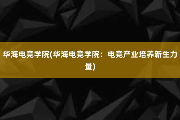 华海电竞学院(华海电竞学院：电竞产业培养新生力量)