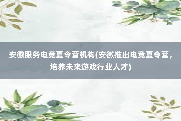 安徽服务电竞夏令营机构(安徽推出电竞夏令营，培养未来游戏行业人才)