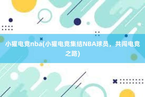 小獾电竞nba(小獾电竞集结NBA球员，共闯电竞之路)