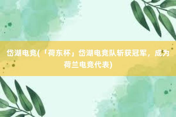 岱湖电竞(「荷东杯」岱湖电竞队斩获冠军，成为荷兰电竞代表)