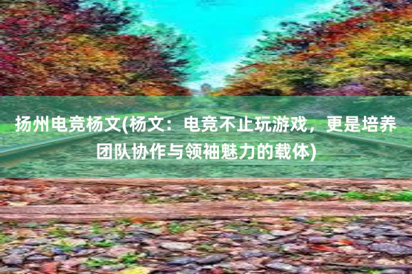 扬州电竞杨文(杨文：电竞不止玩游戏，更是培养团队协作与领袖魅力的载体)