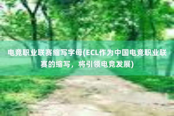 电竞职业联赛缩写字母(ECL作为中国电竞职业联赛的缩写，将引领电竞发展)