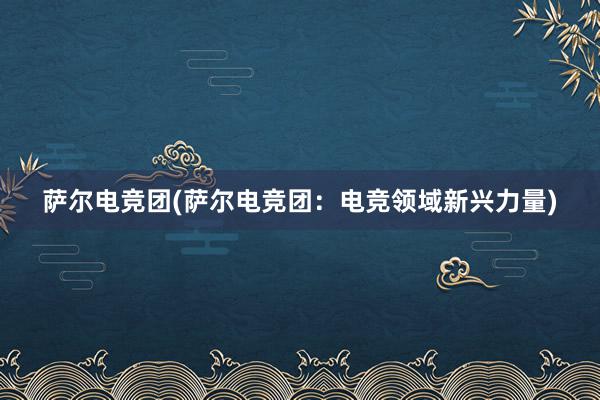 萨尔电竞团(萨尔电竞团：电竞领域新兴力量)