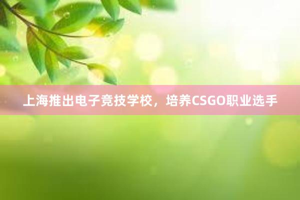 上海推出电子竞技学校，培养CSGO职业选手