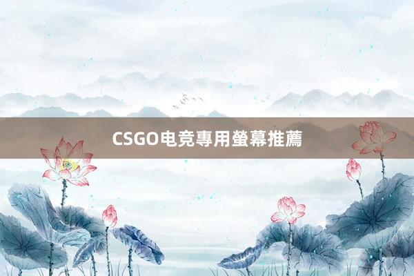 CSGO电竞專用螢幕推薦