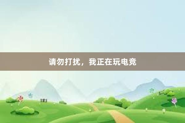 请勿打扰，我正在玩电竞