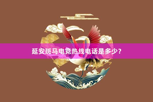 延安斑马电竞热线电话是多少？