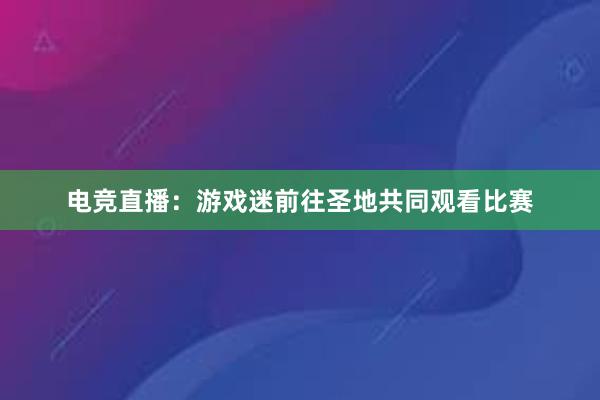 电竞直播：游戏迷前往圣地共同观看比赛