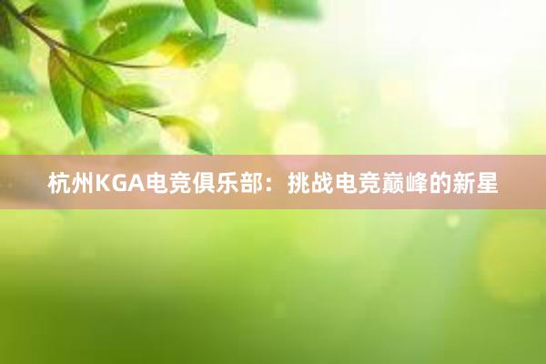 杭州KGA电竞俱乐部：挑战电竞巅峰的新星