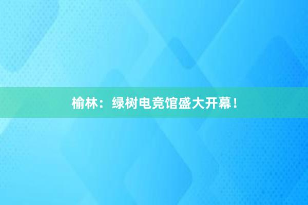 榆林：绿树电竞馆盛大开幕！