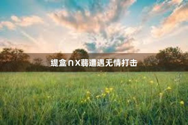 缇盒∩X蒻遭遇无情打击