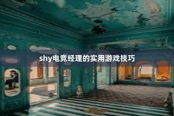 shy电竞经理的实用游戏技巧